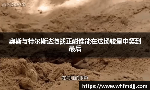 OETY欧亿体育官方网站